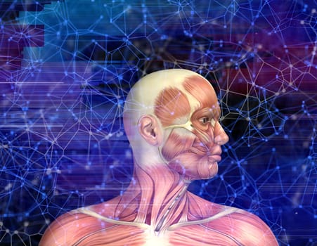 3D render of a male medical figure with muscle map on techno style background