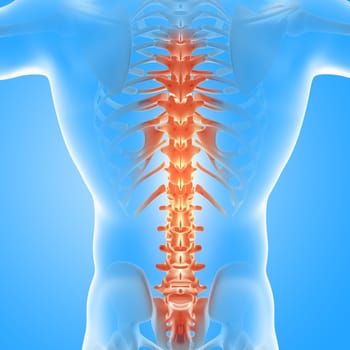 3D render of a male medical figure with spine highlighted