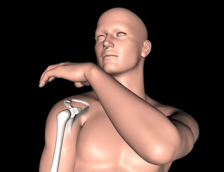 3D render of a male medical figure with shoulder bone highlighted