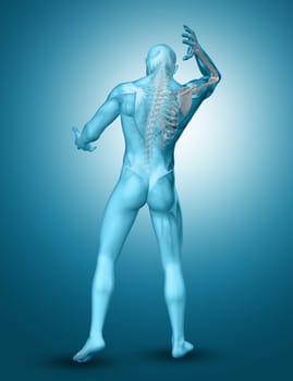 3D render of a male medical figure with shoulder bones highlighted