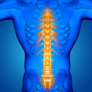 3D render of a male medical figure with spine highlighted