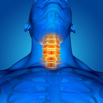 3D render of a male medical figure with neck bones highlighted