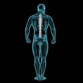 3D render of a male medical figure with spine highlighted