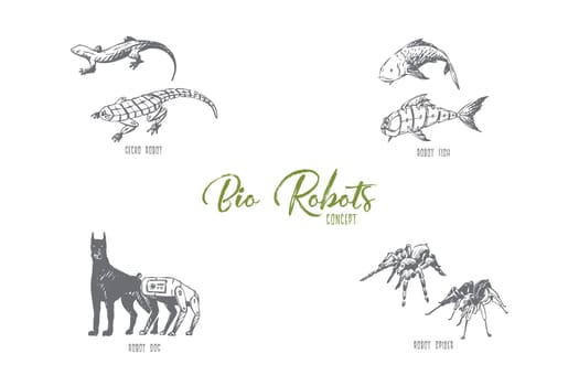Bio robots - robot fish, dog, spider and gecko vector concept set. Hand drawn sketch isolated illustration