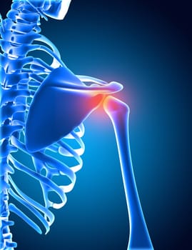 3D render of a medical background of a skeleton with shoulder bone highlighted