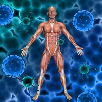 3D render of a medical background with male figure with muscle map and abstract virus cells