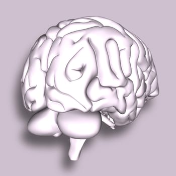 3D render of a medical background with brain
