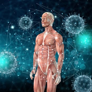 3D render of a medical background with male figure with muscle map and virus cells