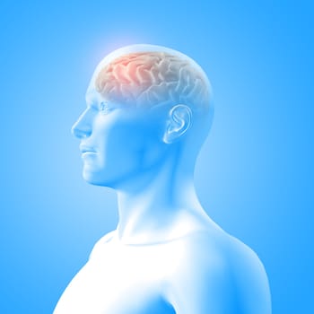 3D render of a medical image showing brain in male figure with frontal lobe highlighted