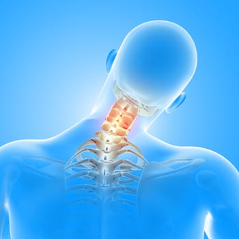 3D render of a medical male figure with neck bones highlighted