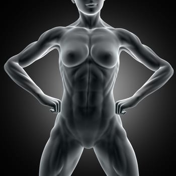 3D render of a muscular female figure with close up of abdominal muscles