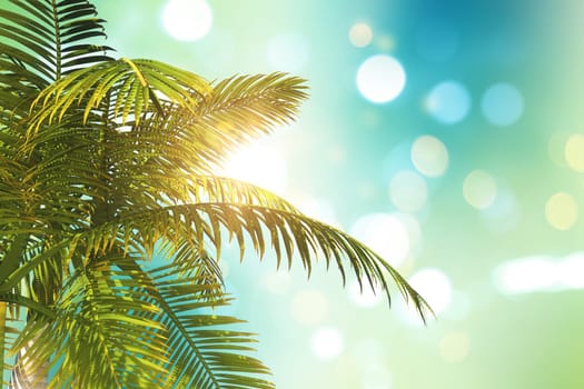 3D render of a palm tree leaves on a defocussed bokeh lights background