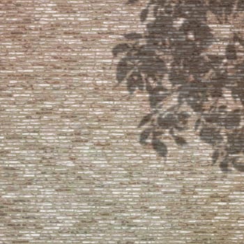 3D render of a shadow of leaves against a brick wall texture