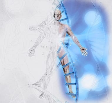 3D render of a sketch of male figure with DNA strand