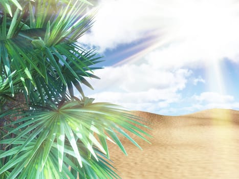 3D render of a sunny beach landscape with palm tree against sunny sky