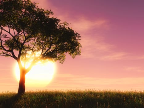 3D render of a tree against a sunset sky