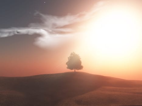 3D render of a tree landscape against a sunset sky