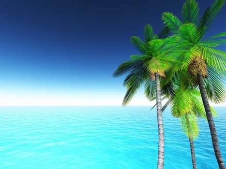 3D render of a tropical landscape with palm trees and blue ocean
