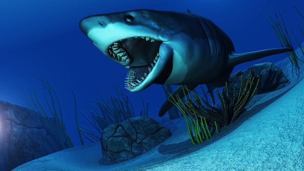 3D render of a white shark swimming in ocean