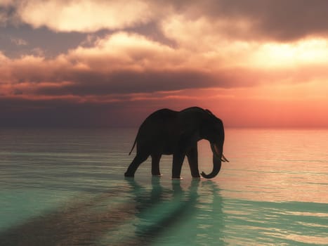 3D render of an elephant walking in the ocean against a sunset sky