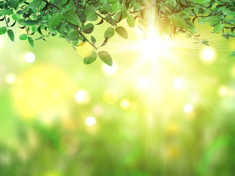 3D render of leaves against defocussed background