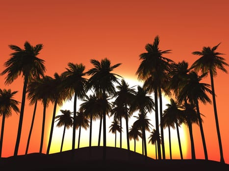 3D render of palm trees against a sunset sky