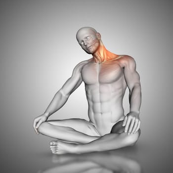 3d render of a male figure in neck stretch pose showing muscles used