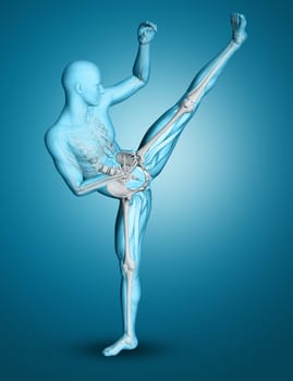 3d render of a male medical figure in kick boxing pose