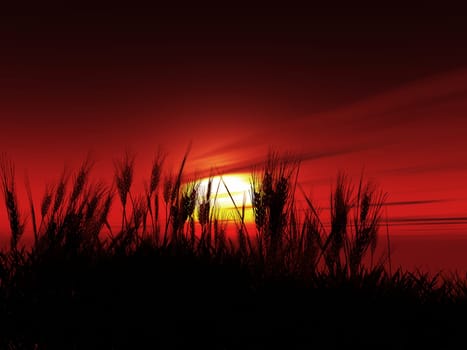 3D render of wheat silhouetted against a sunset sky