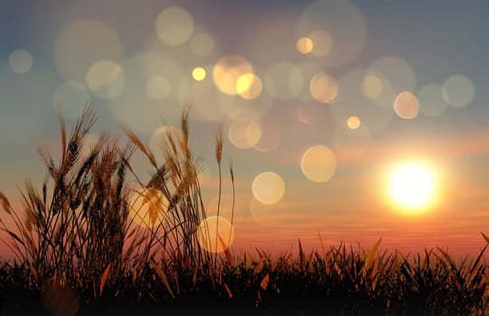 3D render of wheat against a sunset sky with bokeh lights