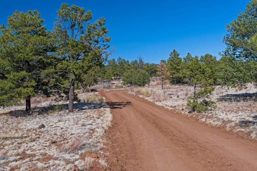 Red Dirt Road in a Volcanic Landscape in El Malpais National Monument in New Mexico