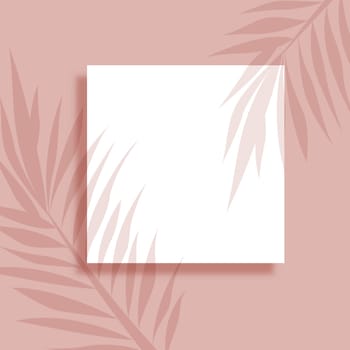 Abstract background with blank picture and plant leaves shadow overlay