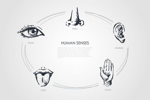 Human senses - vision, taste, touch, hearing, smell vector concept set. Hand drawn sketch isolated illustration