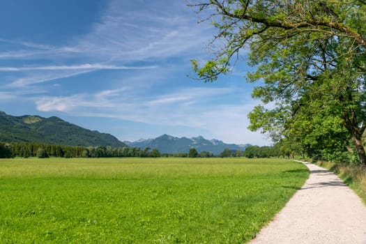 Bavarian green meadow landscape with a light path, blue sky and copy space