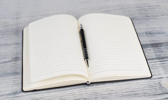 Writing into a book, empty copy space for text, hand with a pen