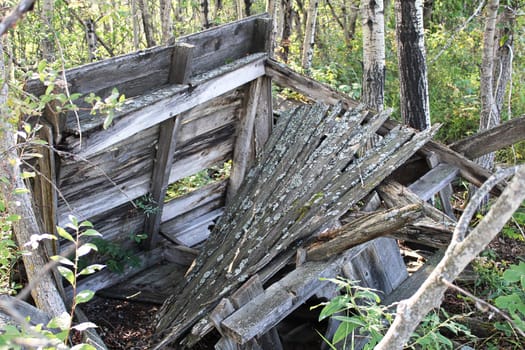An old wooden stucture falling apart in the forest.