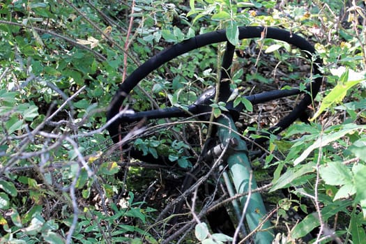 An old steering wheel being overgrown my branches.