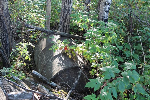 An old oil barrel abonded in the forest.