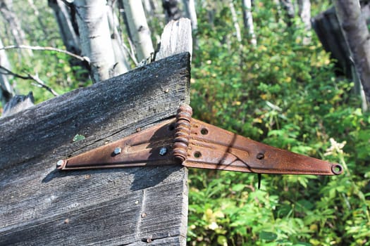 An old rusty hinge and door found rotting in the forest.