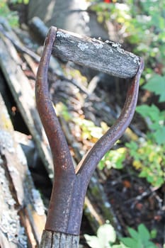 The handle from a shovel being covered in moss.