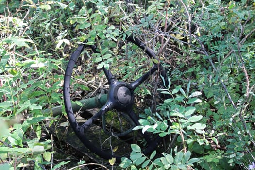 An old steering wheel being covered by shrubs.