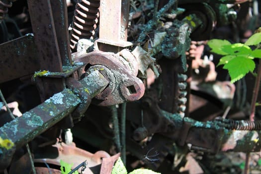 Misc machinery parts rusting and being covered by lichen.