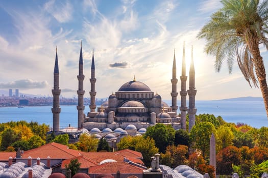 View on the Blue Mosque and roofs of Sultanahmet district, Fatih, Istanbul, Turkey.