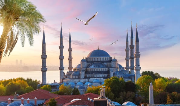 Sultanahmet or the Blue Mosque at sunset, Istanbul view, Turkey.