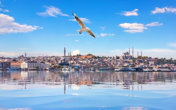 Seagull flies by the Suleymaniye Mosque in the Bosphorus Straight, Istanbul.
