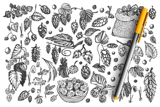 Pine cones doodle set. Collection of drawing coniferous forest christmas tree cedar plant trees seeds botanical wood cone isolated on white background. New year holiday symbol illustration.