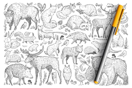 Forest wild animals doodle set. Collection of hand drawn deer fox bear rabbit squirrel raccoon buffalo hedgehog living in wild nature isolated on transparent background. Illustration of animals