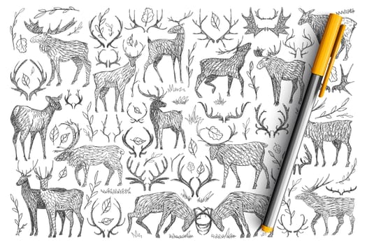 Forest wild deers doodle set. Collection of hand drawn deers with horns living in wild nature playing fighting isolated on transparent background. Illustration of animals for kids