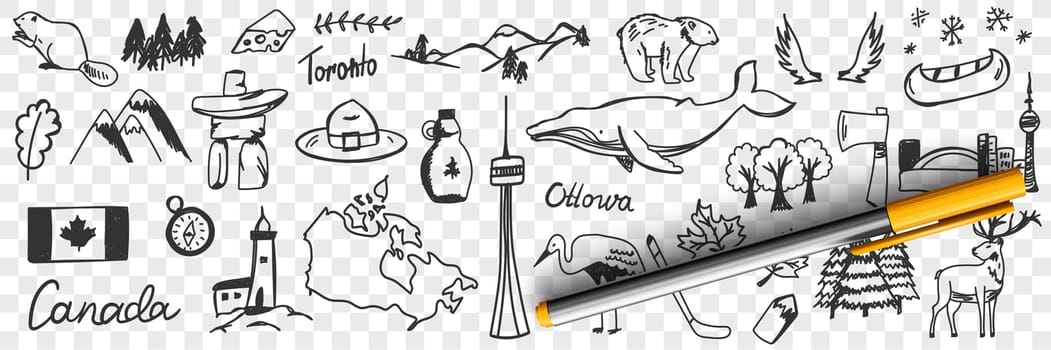 Canadian symbols and signs doodle set. Collection of hand drawn canadian traditional maple leaf flag wildlife mountains deers snow heron beer whale and names isolated on transparent background