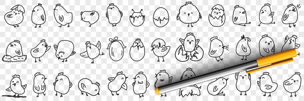 Small chicks on farm doodle set. Collection of hand drawn cute funny positive chicks eating hatching out of egg shell living in farmlands for children books isolated on transparent background
